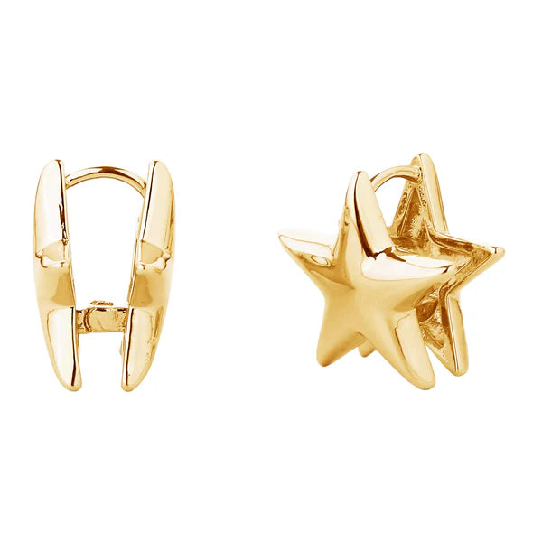 14K GOLD DIPPED STAR EARRING SJE310363 (12PAIR)